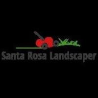 Santa Rosa Landscaper image 7